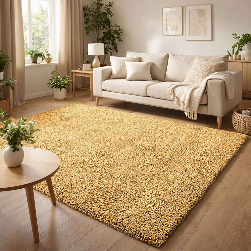 Ainsley Plain Living Room Shaggy Area Rug Modern Soft Pile Polyester Rug, Rectangle 160 x 230 cm, Gold