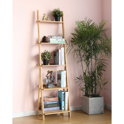 Leavie Ladder Bookcase