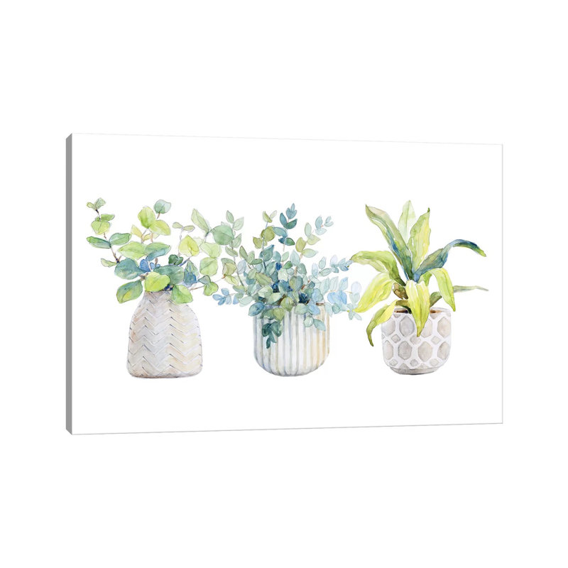 Decorative Plant Arrangement I by Lanie Loreth - Wrapped Canvas Painting, 66.04 cm H x 45.72 cm W x 1.91 cm D