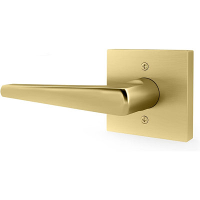 Mega Handles Schein Door Lever with Square Rosette for French, Pantry & Closet Doors | Non-Turning, Screws Included | Reversible Handing, Modern Finish