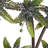Metal Indoor Outdoor Palm Tree Green Wall Decor