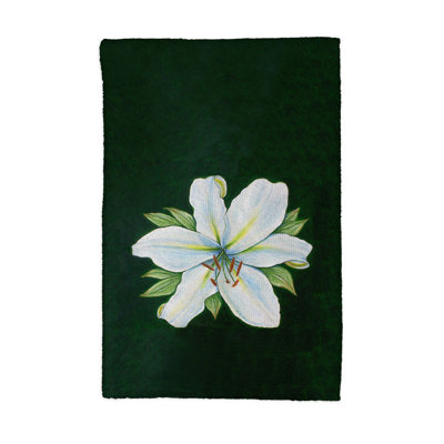 Dish Cloth Kitchen Towel