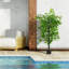 53,1 po Ficus artificiel en pot