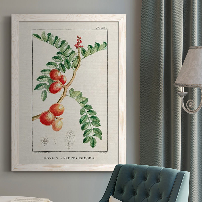 Tropical Botanicals III, reproduction d'art sur toile, Blanc, H 37,5 po x l 27,5 po x P 1 po