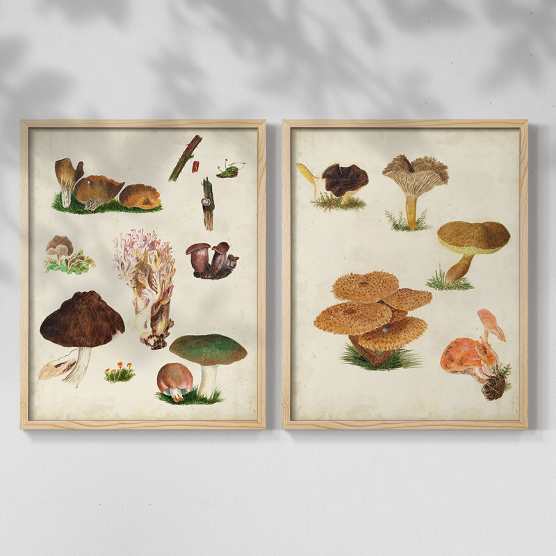 Reproduction encadrée de qualité supérieure de champignon - prêt à accrocher - aucun clou requis, H 11 po x l 18 po
