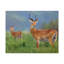 No Frame Print on Canvas-842256484