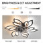 Armentha 65cm Ceiling Fan with LED Lights-1096532150