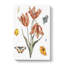 Butterflies & Flower by Johan Teyler - Wrapped Canvas Painting-55361739