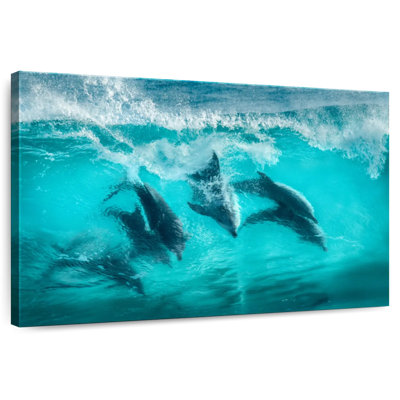 Aletra Bottlenose Dolphin Pod