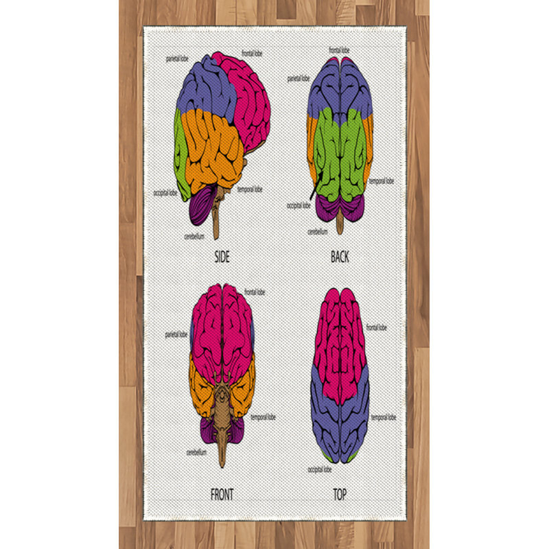 Tapis décoratif en fibre de polyester à haute densité, Rectangle 2 pi 7 po x 5 pi