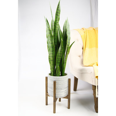Sabina Handmade Pot Planter