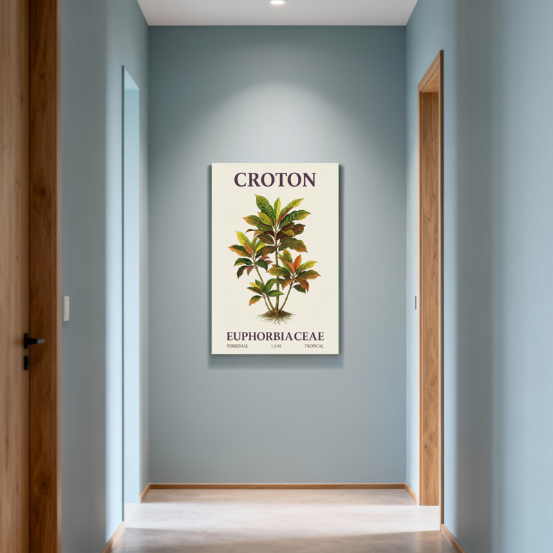 Plantes et fleurs Croton Illustration de plantes avec des feuilles colorées, H 36 po x l 24 po