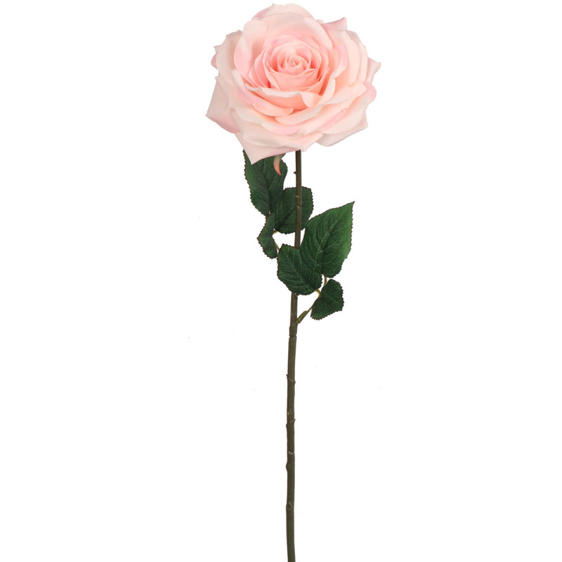 Roses Stem, Light Pink
