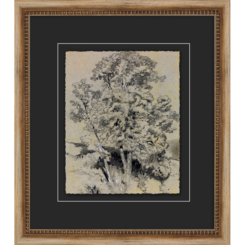 Antique Tree Study 1 - Peinture encadrée sur papier