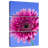 Harnek Pink Gerbera Daisy I