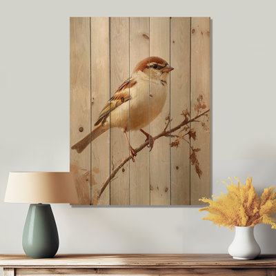 Curious Sparrow I - Bird Wood Wall Decor - On Natural Pine Wood