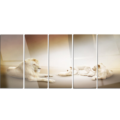 « white lion family », photographie multi-pièces sur métal