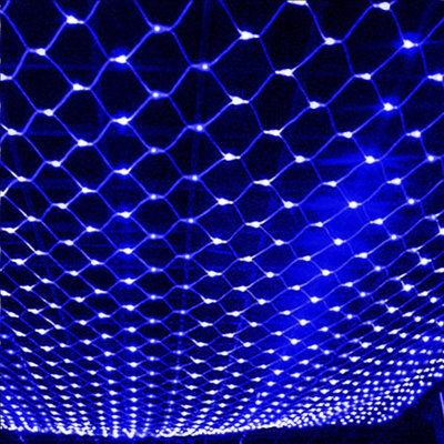 Twinkle Net Lights