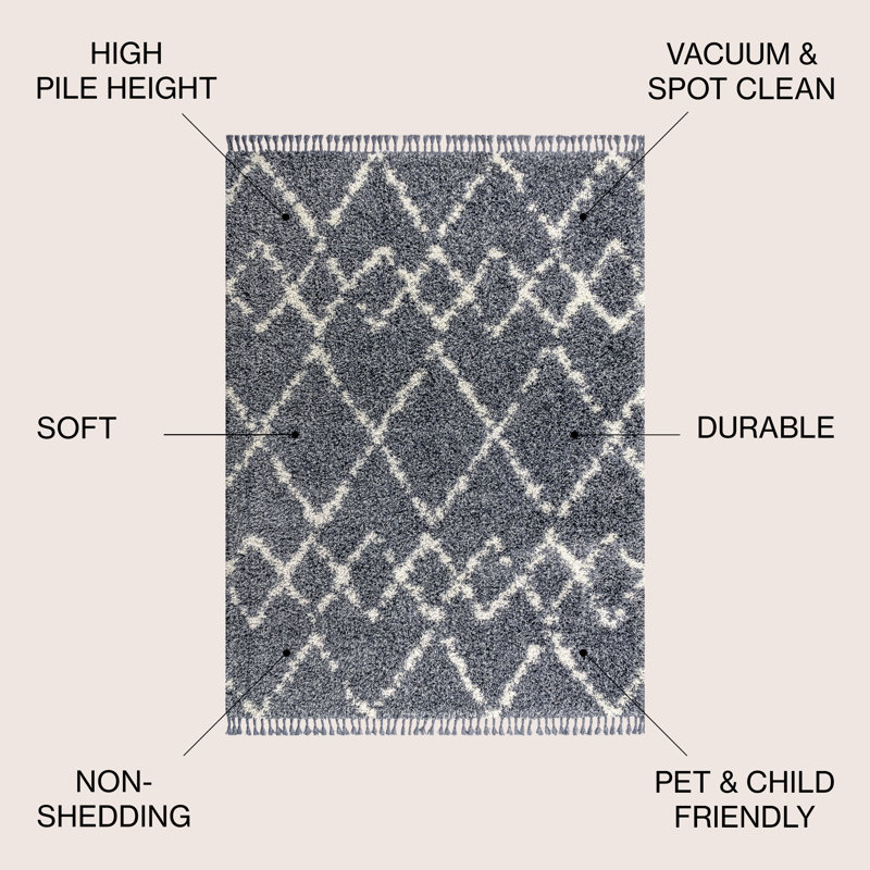 Cantera Shag Plush Tassel Moroccan Tribal Geometric Trellis Blue/Cream Rug, Rectangle 3'1" x 5'