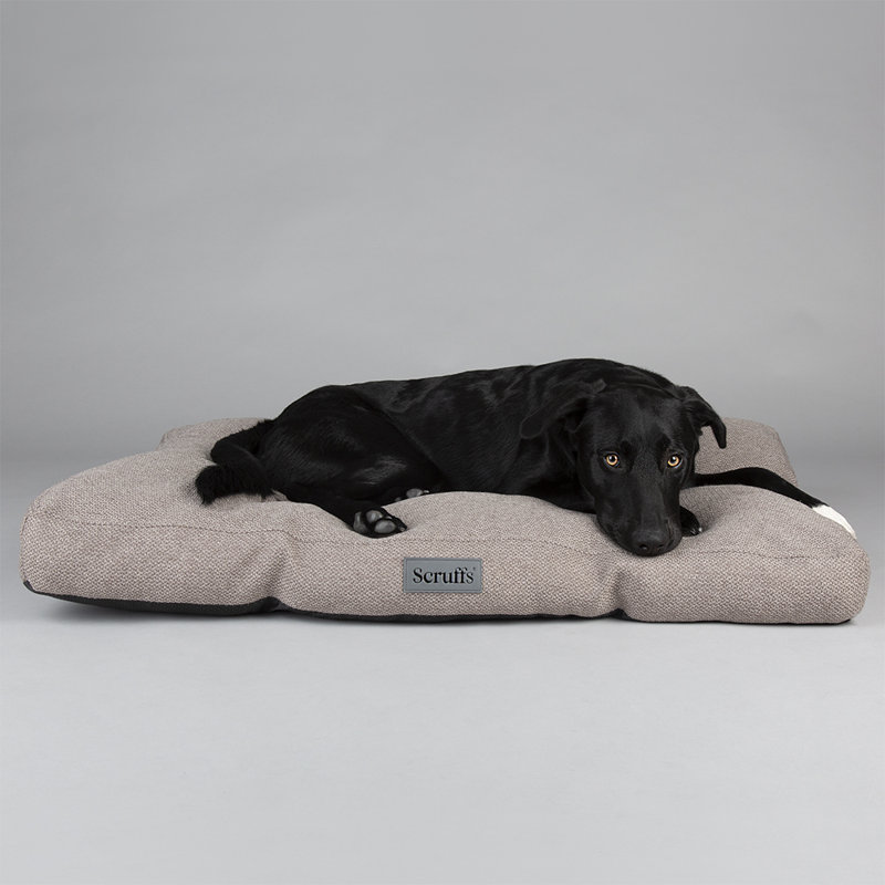 Scruffs Seattle - Luxury Dog Bed Mattress, Stone Grey, 14cm H x 100cm W x 70cm D