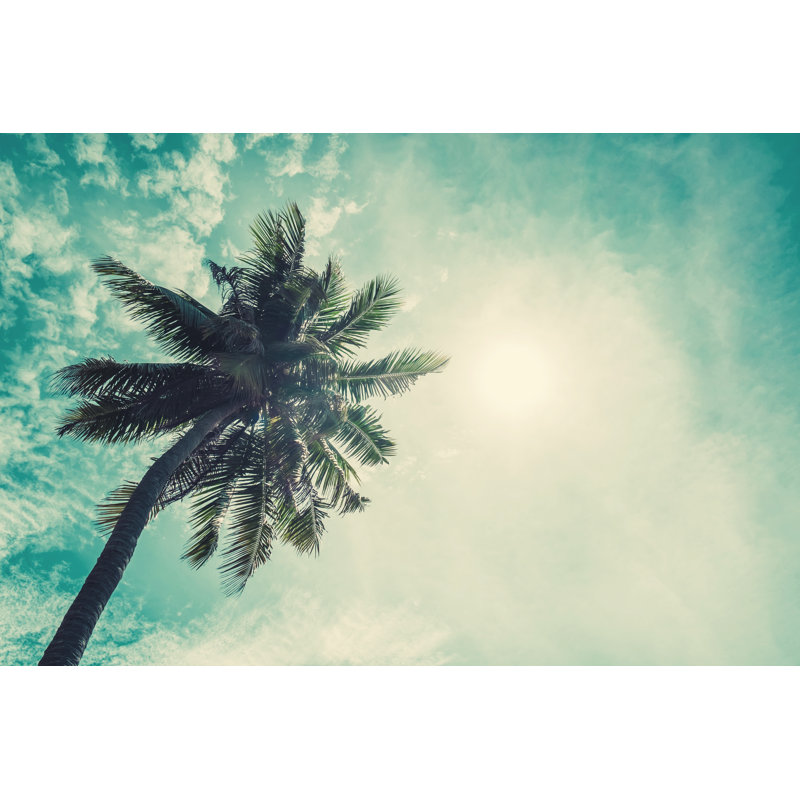 Coconuts Palm Tree - Wrapped Canvas Print, 30cm H x 46cm W