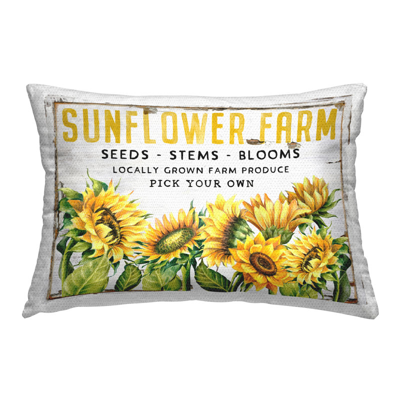 Coussin Antique Antique