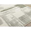 Tapis vert Manzelli-347002779