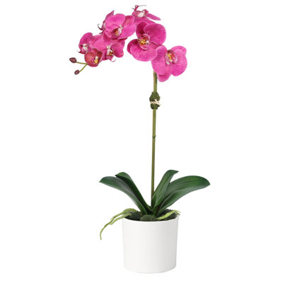 Arrangement de soie orchidée en pot