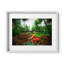 Coconut Dream Print by Joseph Regan-66911129-66911130