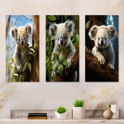 Realistic Koala Eucalyptus Observer I - Koala Wall Decor Set Of 3
