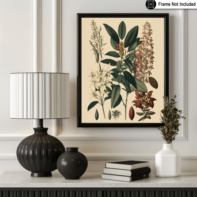 Orchidée, Sans cadre, Affiche, H 11 po x l 14 po