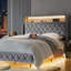 Eluid Tall Wingback Bed With Built-In Lighting and Power Outlets Storage High Headboard-106912857-106912861