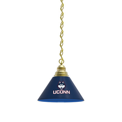 Luminaire suspendu conique à 1 lumière NCAA