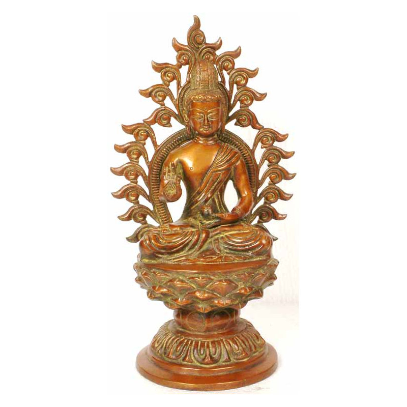 Le Bouddha bénit contre une auréole enflammée