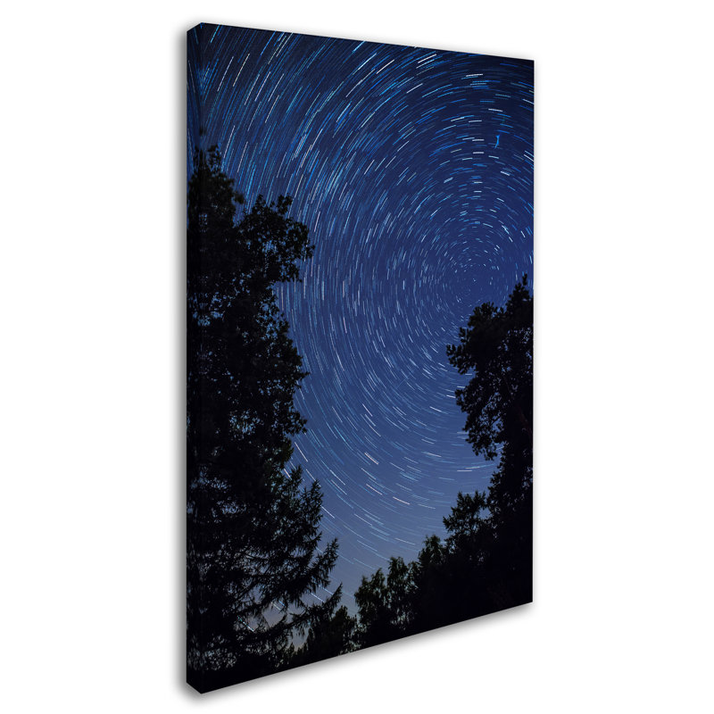 Ann «Stars in the Sky», reproduction d'impression sur toile tendue Ann, H 19 po x l 12 po