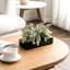 Pot d'eucalyptus artificiel noir