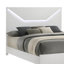Jariya blanc-925508822-944762976