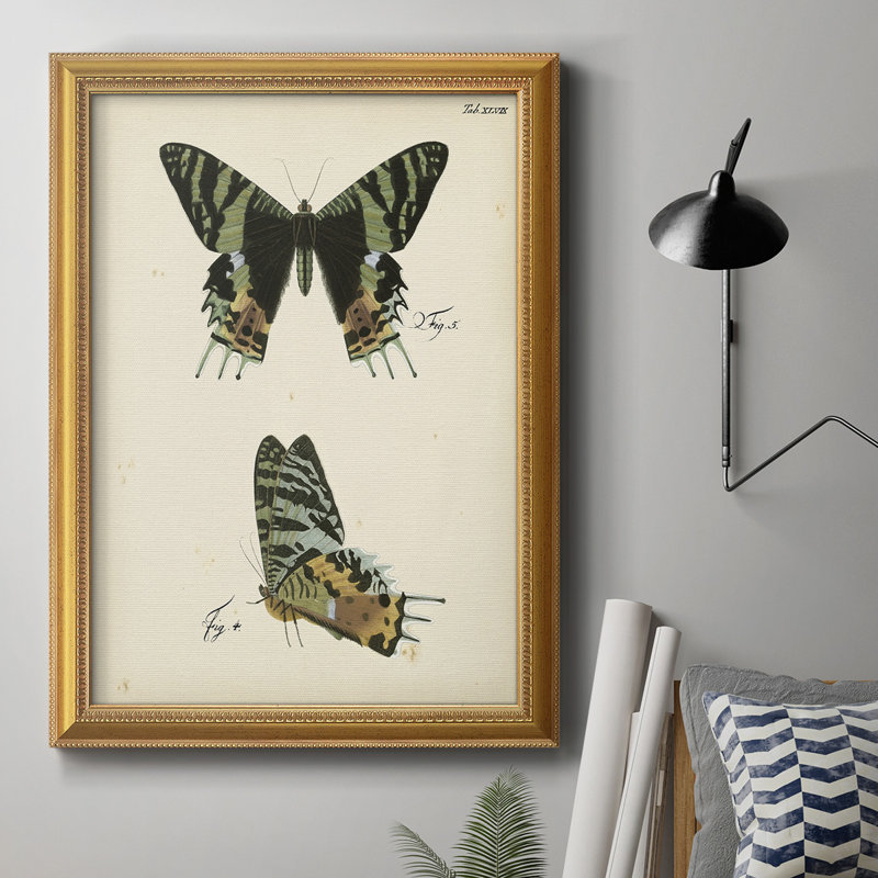 Butterfly Profile IV Butterfly Profile IV - Peinture sur toile encadrée, H 36 po x l 24 po x P 2,5 po