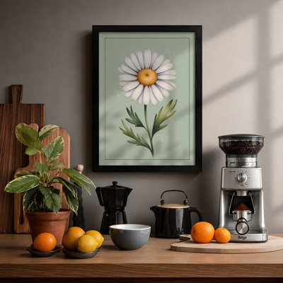 Daisy Botanical - Framed Print