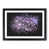 Black Framed selected