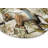 Kabir 12 Piece Ceramic Dinnerware Set - Service for 4