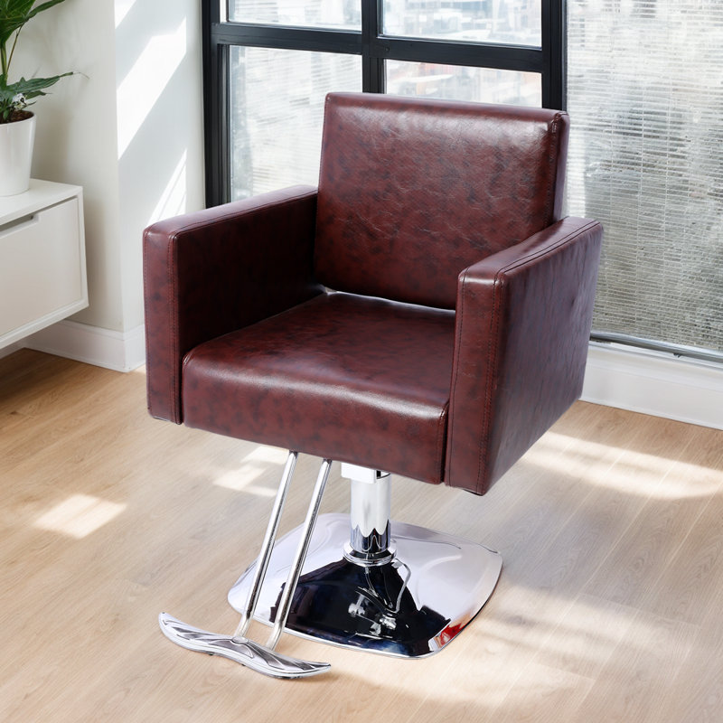 Fauteuil de coiffeur Professional Professional