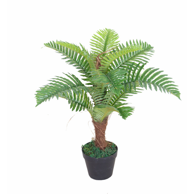 Faux Palm Plant in Pot, 60"H x 50"W