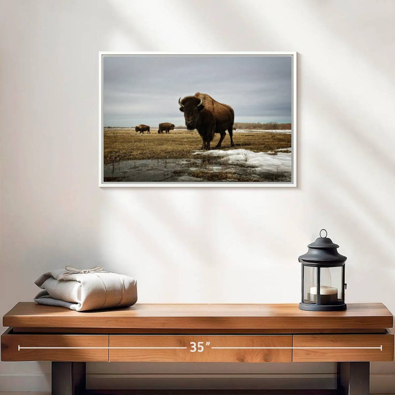 Bison Cloud Day, Cadre flottant blanc, 19 po x 13 po