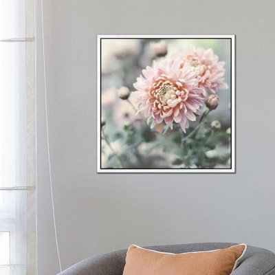 Muted Daisy by Sarah Gardner - Print on Canvas
