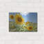 «Sunflowers I» par Richard Silver-942263828