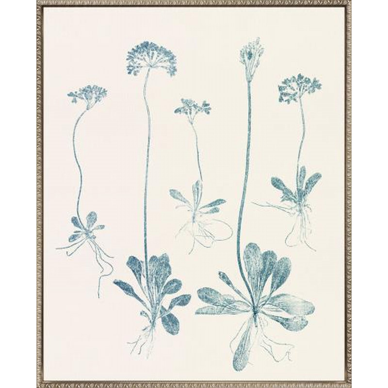 Floral Trace V Canvas Wall Art