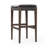 Caricia Bar & Counter Stool-1257968261-1237657588