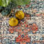 Tapis médaillon Machado pour le salon, la chambre et la cuisine, beige / ivoire-224204367