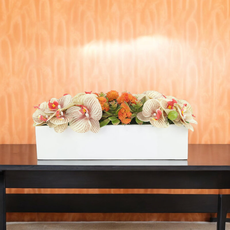 Orchid and Sedum Arranged in Fiberstone Planter, Orange, 7.5" H x 18.5" W x 9" D